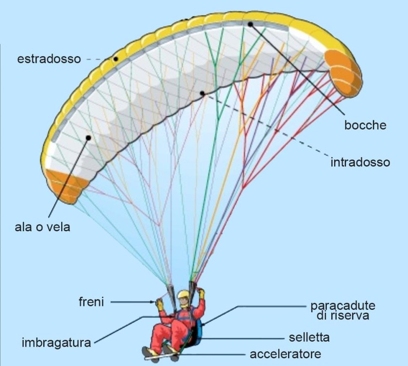 Крыло параплана чертеж