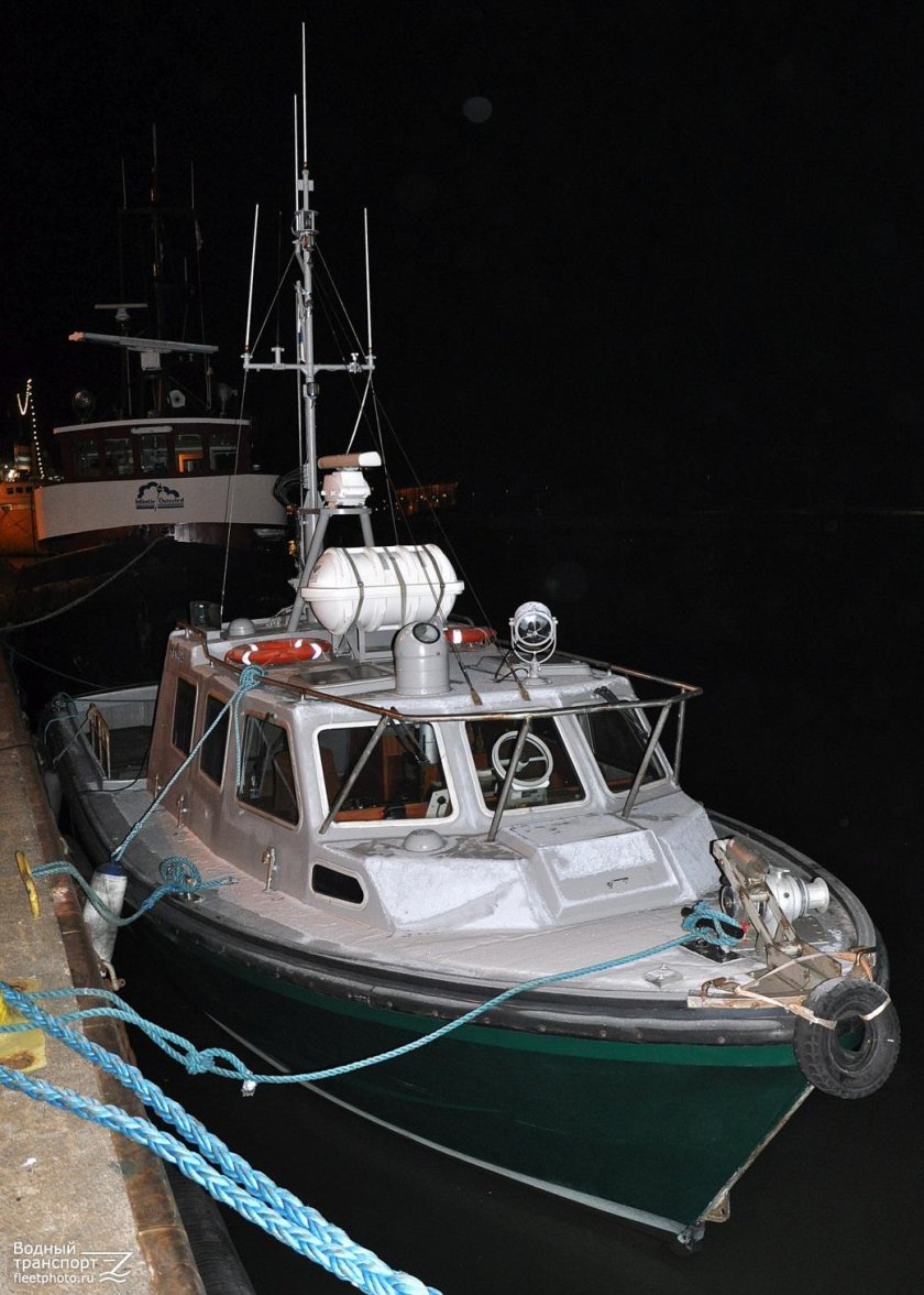 Чижик катер