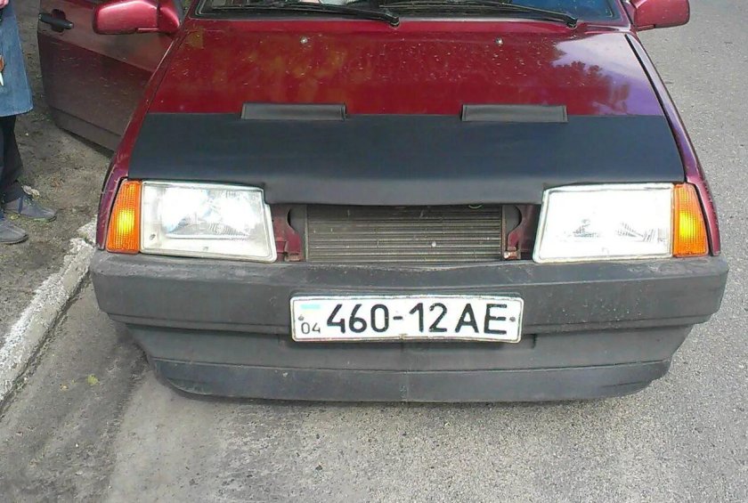 Мухобойка на ВАЗ 2109