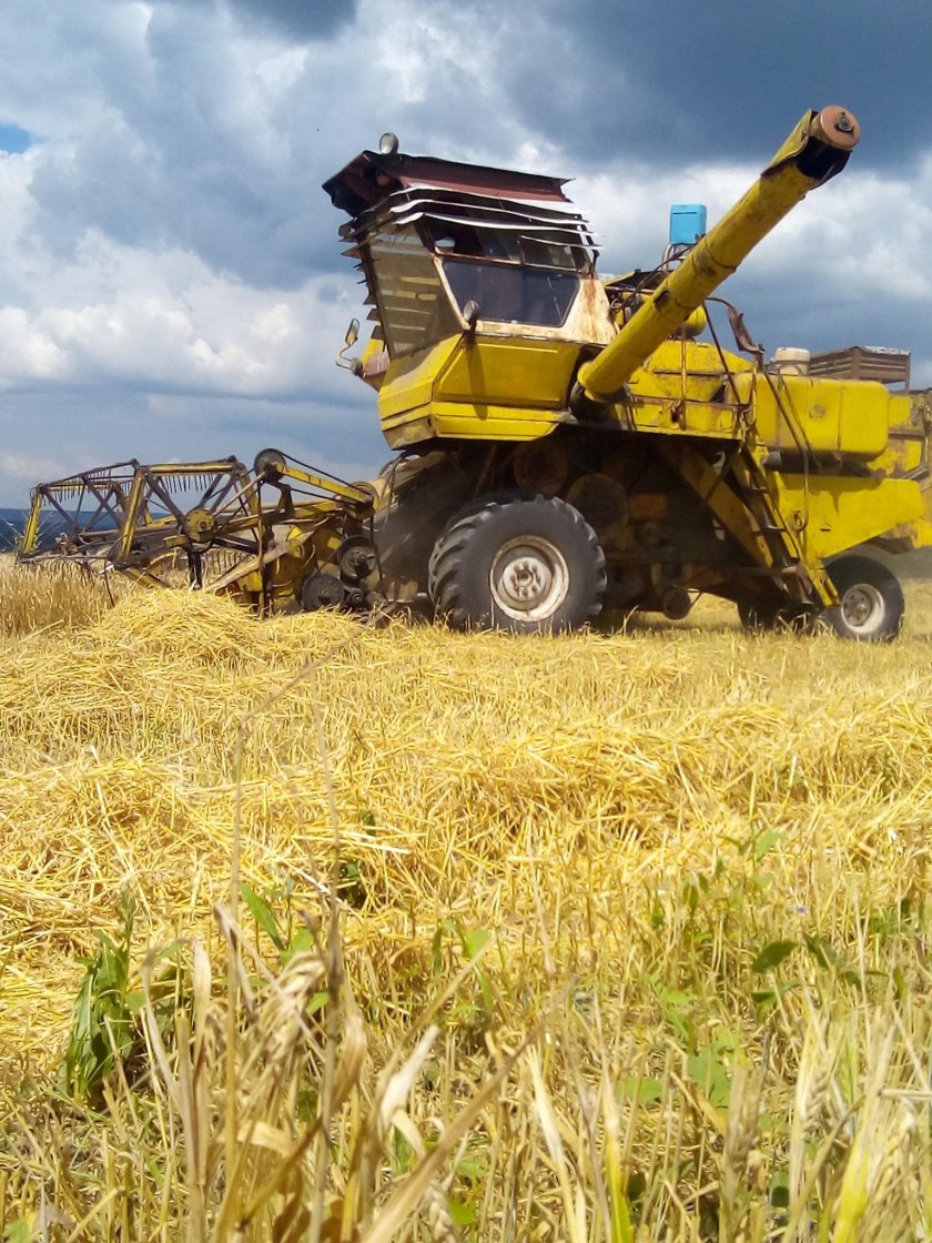 Нива Ростсельмаш