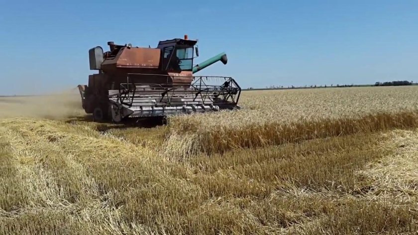 Комбайн Нива СК 5 В поле