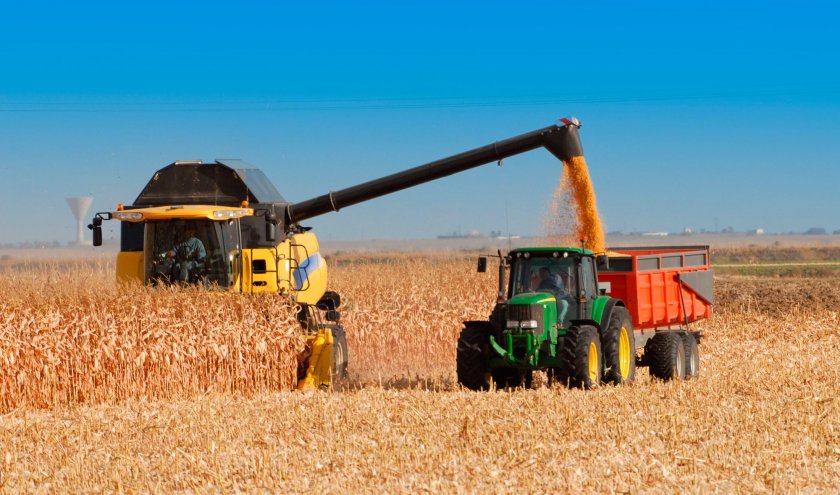 Сбор пшеницы