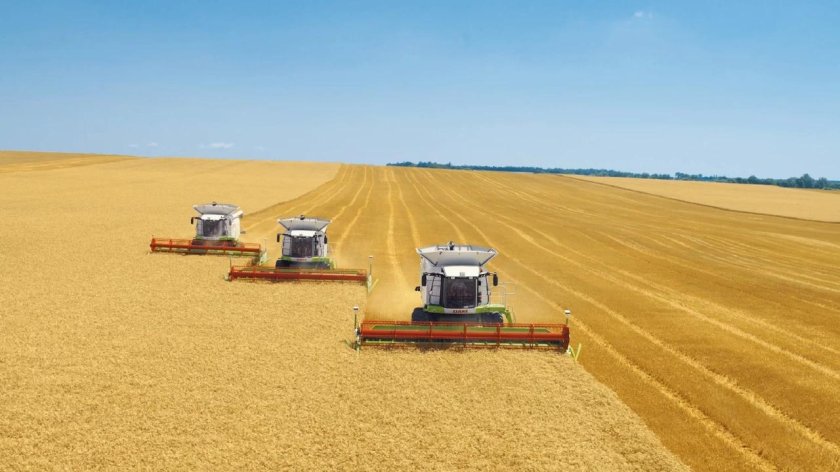 Уборка пшеницы комбайном Кубань