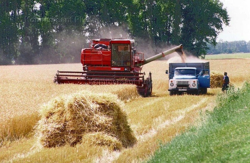 Уборка хлеба комбайном
