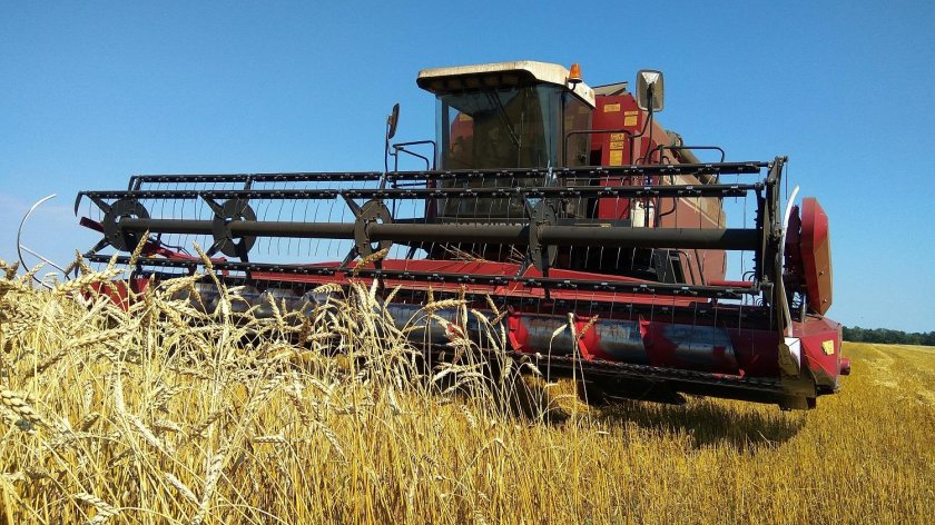 Уборка урожая зерновых культур