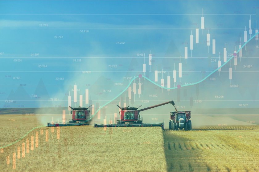 Сбор урожая в поле