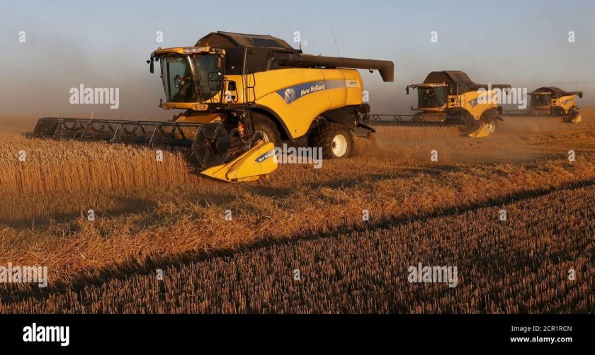 Комбайн Нью Холланд. Уборка пшеницы