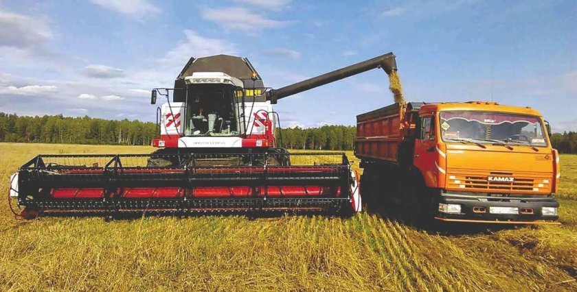 Комбайн и КАМАЗ