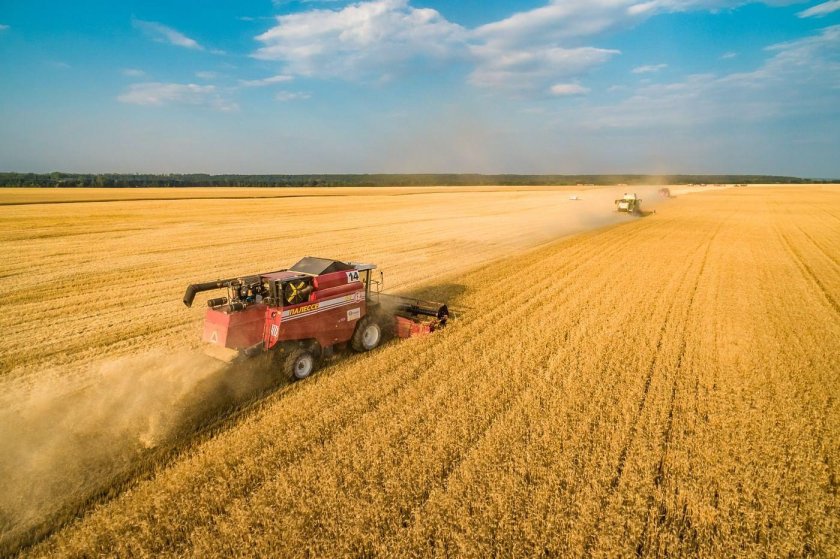 Поле уборка урожая