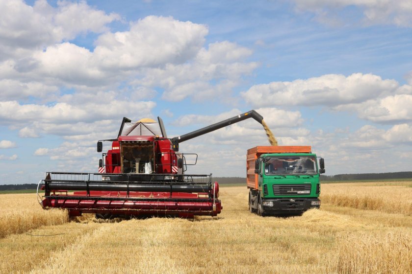 Зерноуборочный комбайн Полесье