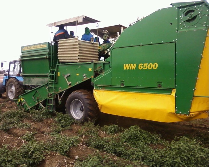 Картофелеуборочный комбайн wm6500