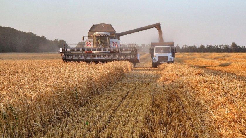 Уборка урожая