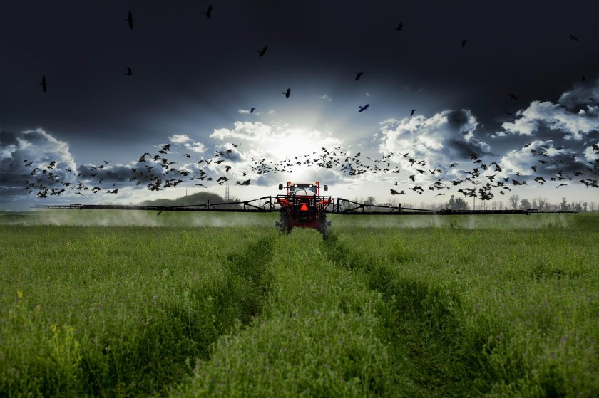 Ростсельмаш рабочий стол