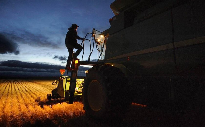 Комбайн в поле