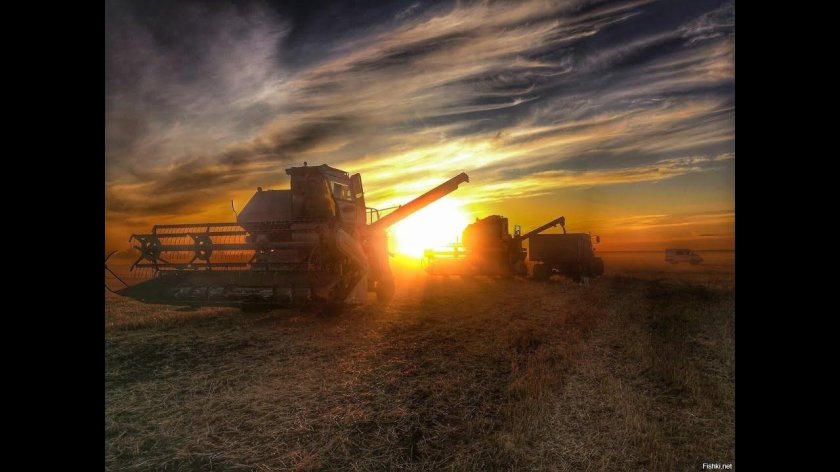 Комбайн Нива в поле