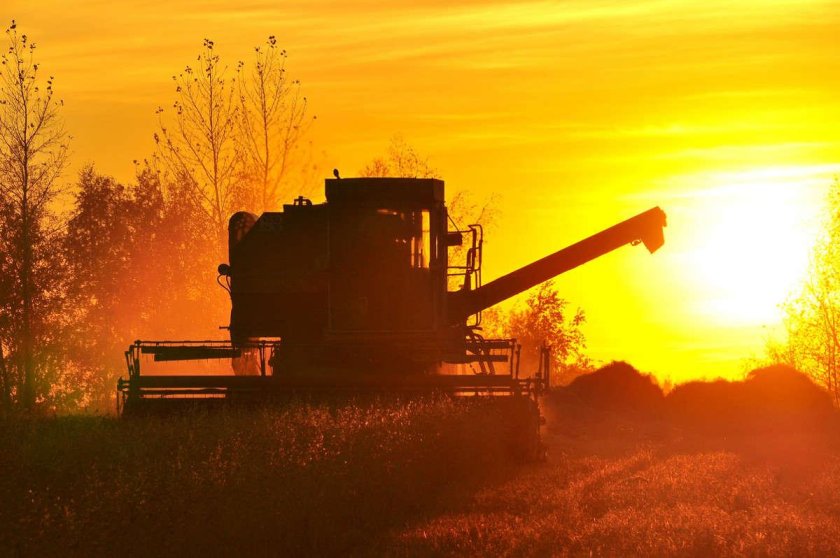 Комбайн Нива в поле