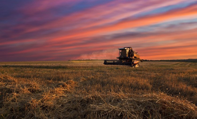 Комбайн Нива в поле
