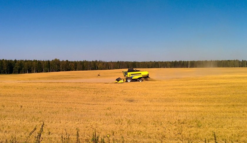 Комбайны вдалеке
