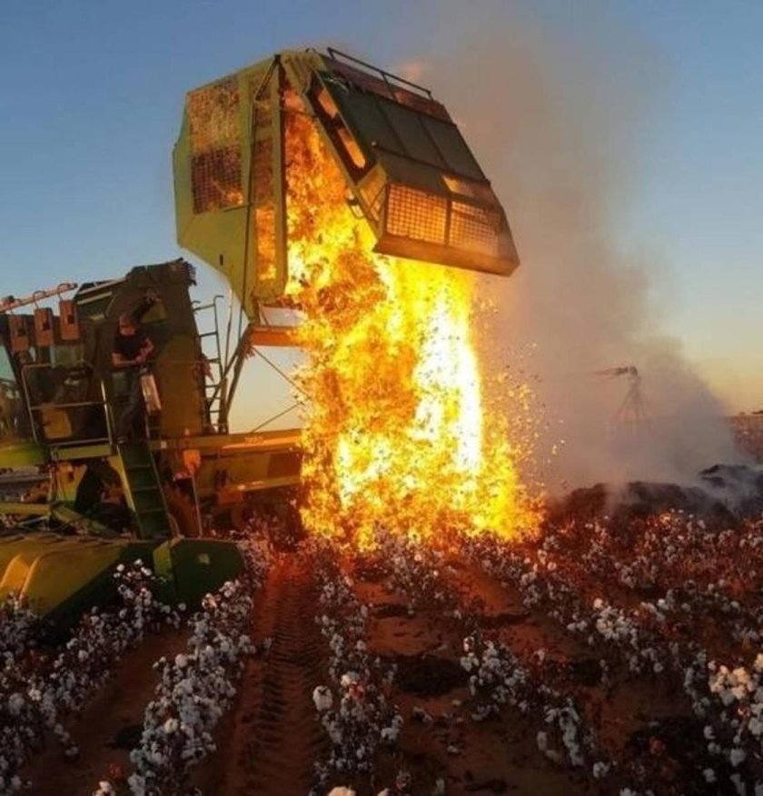 Хлопковый комбайн