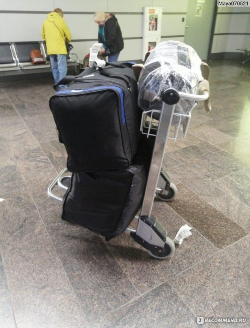 Nordwind Airlines фото с окна