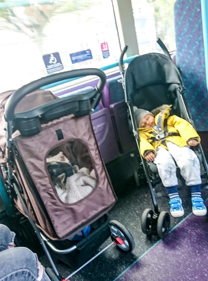 Коляска в автобусе