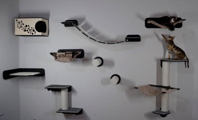 Кошачий домик лазалка