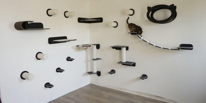 Комплекс для кошек