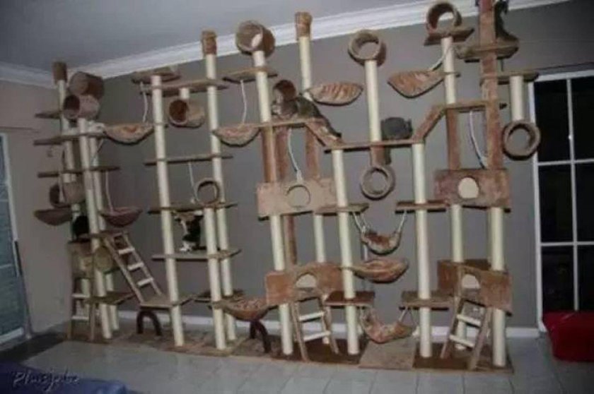 Кошачья лазалка