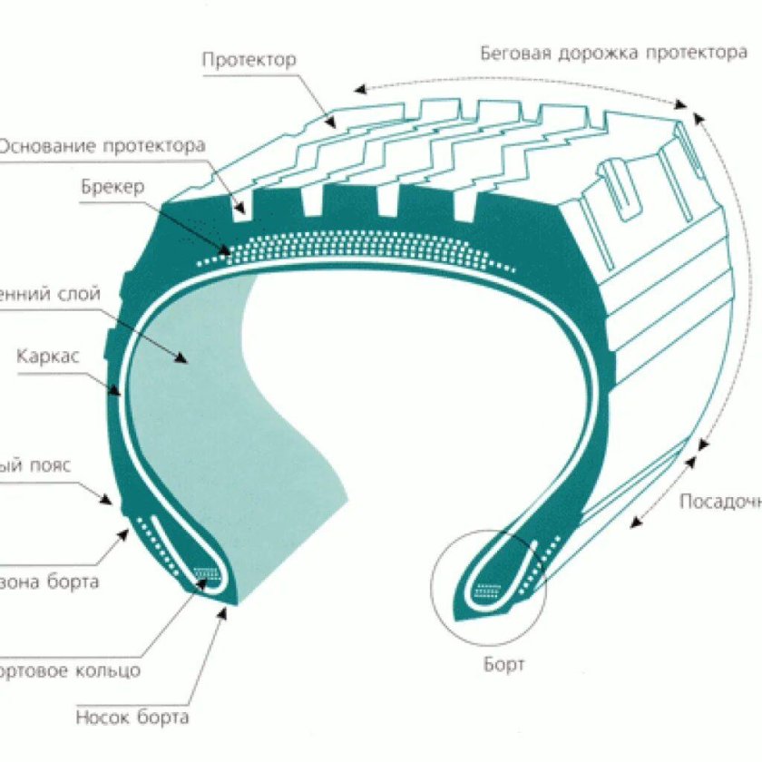 Толщина резины шины автомобиля в разрезе