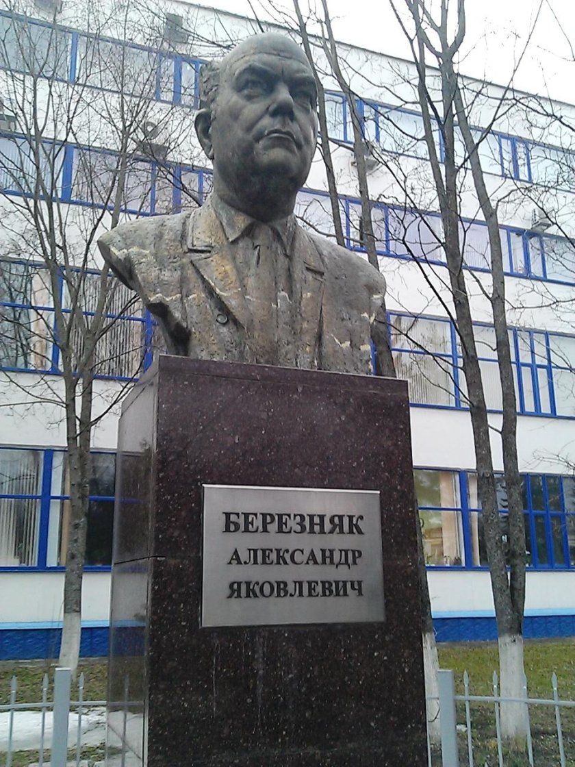 Улица Березняка Дубна