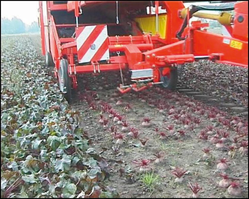 Grimme SF 150/170-60