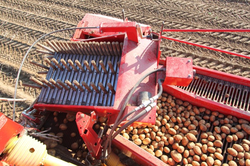 Картофелеуборочный комбайн Grimme