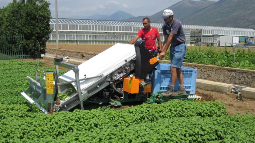 Комбайн для уборки огурцов коп-1.5м