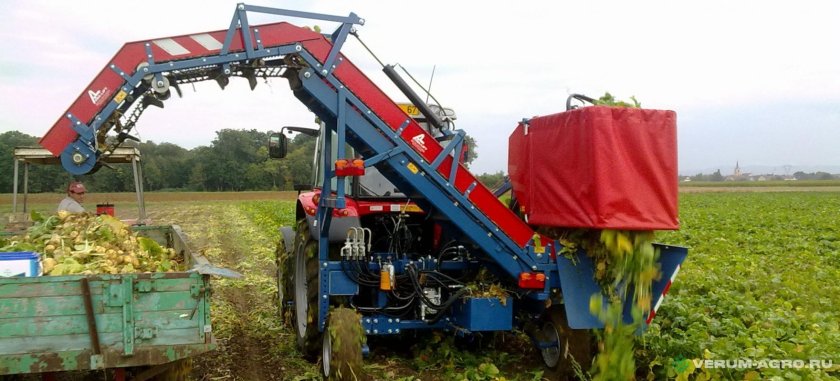 Приставка для уборки моркови Гримме