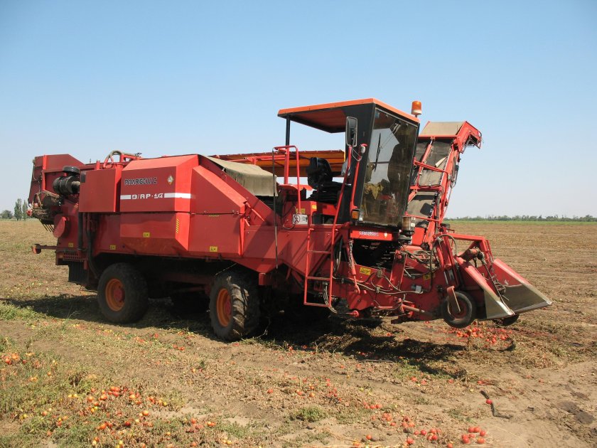 Томатоуборочный комбайн СКТ-2