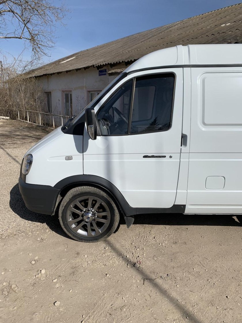 Соболь на r18