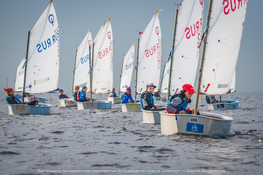 Класс оптимист парусный спорт