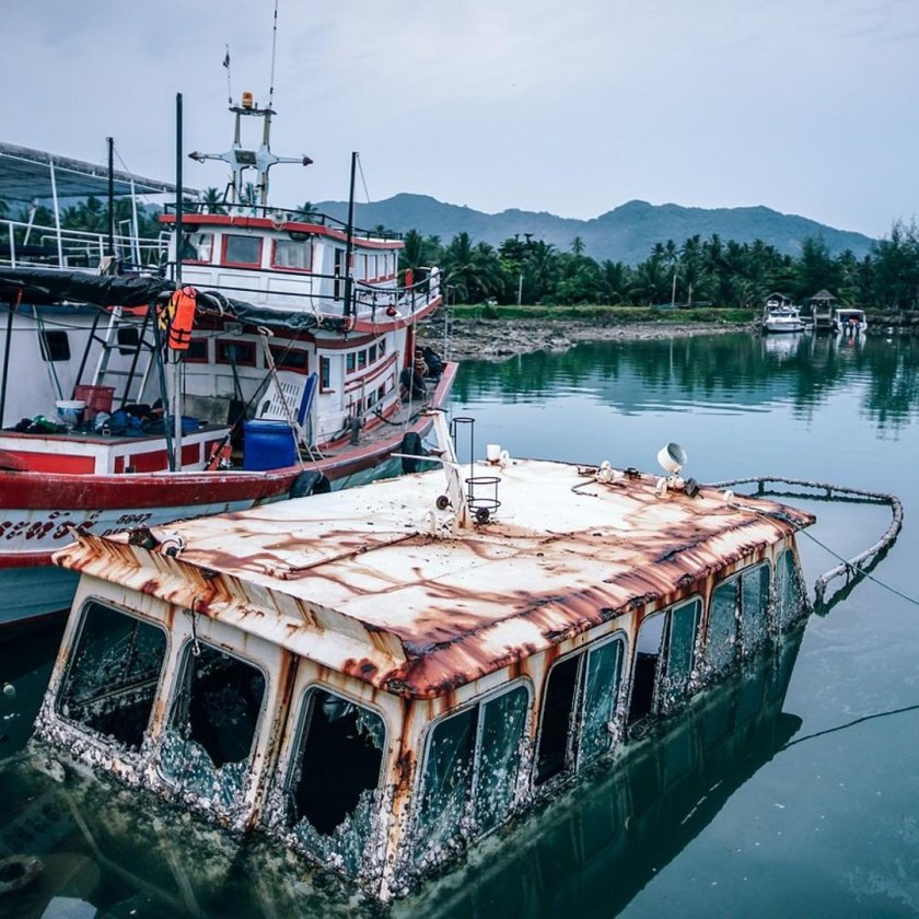 Катер на воде