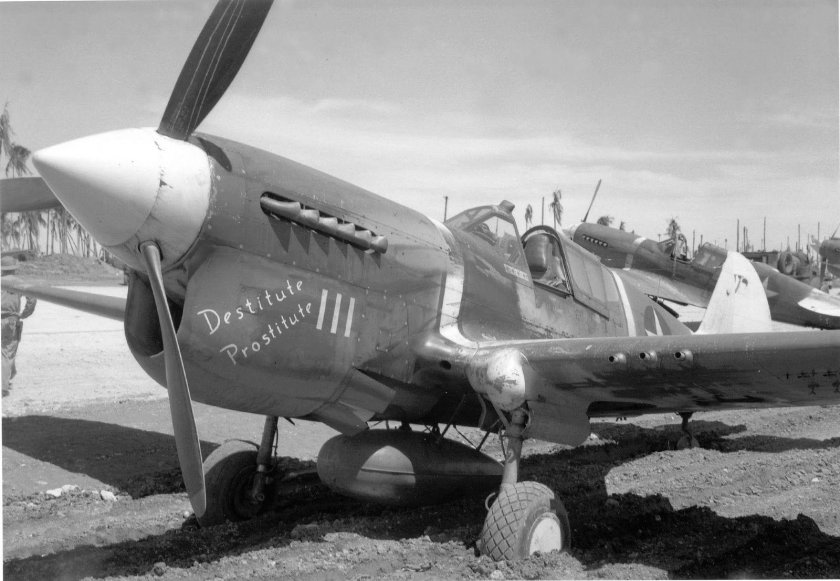 P40 самолет Kitty Hawk