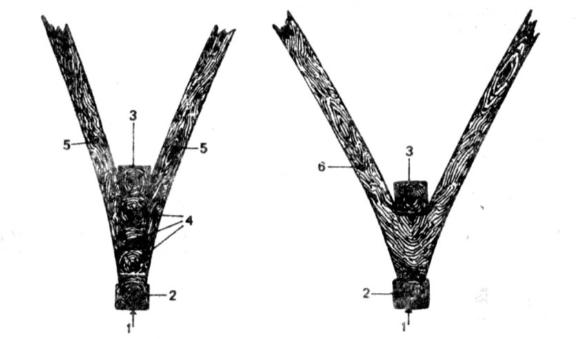 Флортимберс на судне