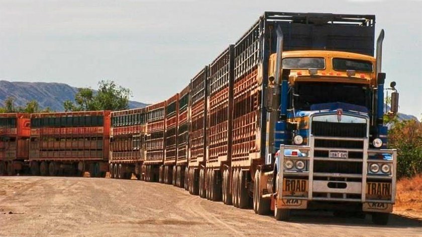 Грузовые автопоезда Австралии