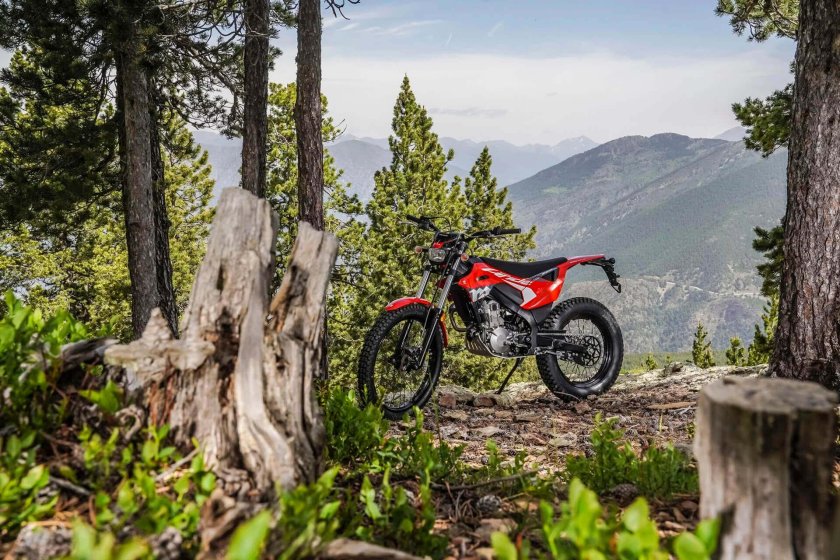 Триал мотик