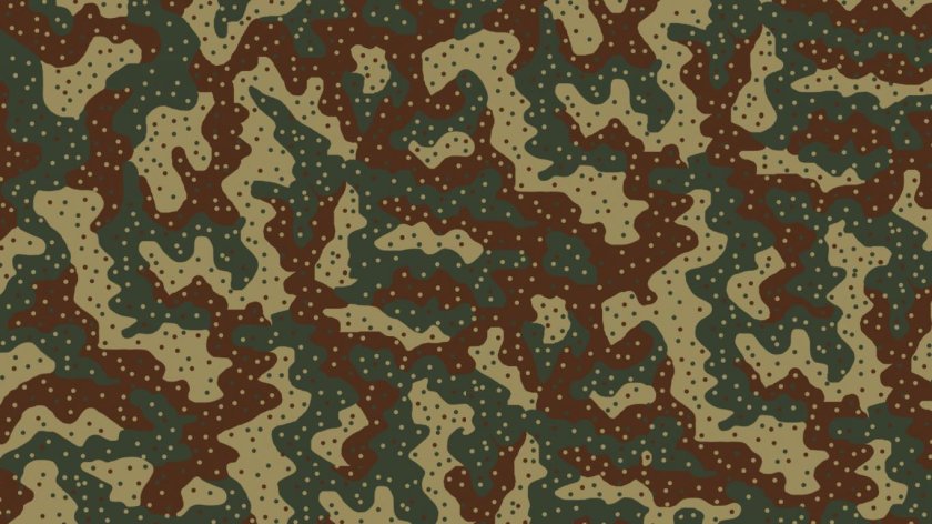 Флектарн камуфляж