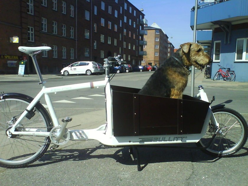 Прицеп для велосипеда для собаки