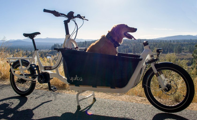 Прицеп для велосипеда для собаки