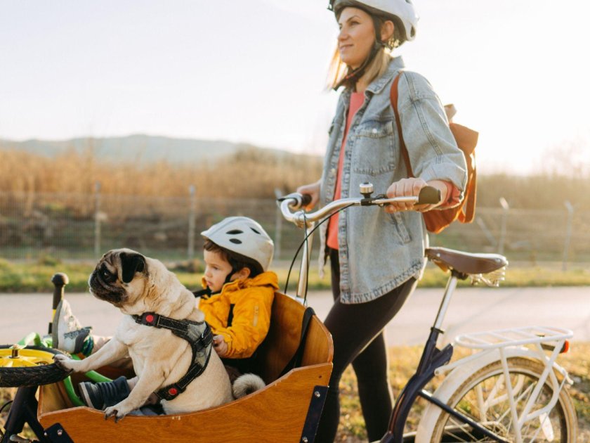 Грузовой велосипед