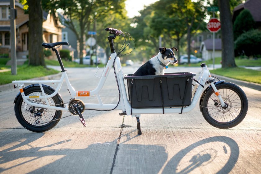 Перевозка собак на велосипеде
