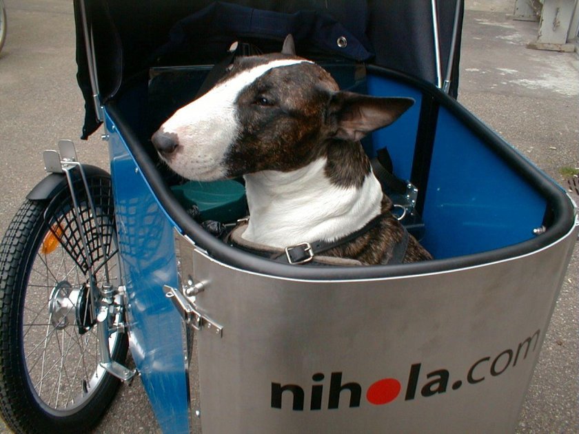 Велосипед с местом для собаки