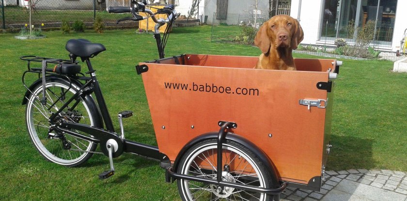 Babboe cargo bike
