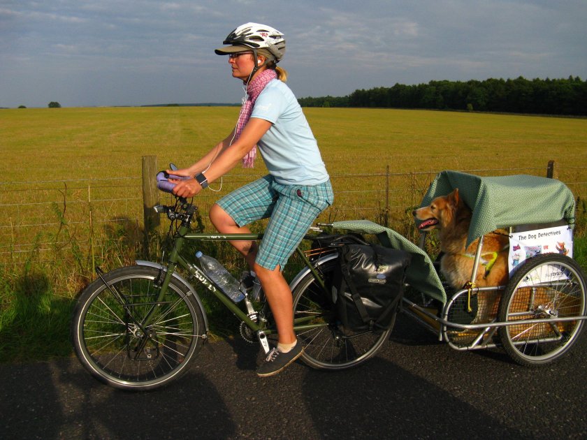 Прицеп для велосипеда